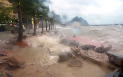 Ba giờ dính bão số 5, Quảng Ninh thiệt hại trên 10 tỷ đồng