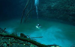 Kỳ lạ &#34;dòng sông&#34; dưới… đáy biển Caribbean