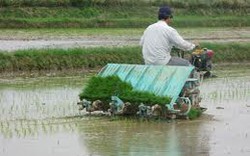 Tổ chức thi lấy giấy phép lái máy kéo, máy cày 