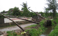 Cận cảnh nhà tốc mái, cây đổ chắn ngang đường tại Thanh Hóa