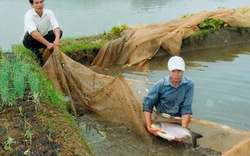 “Rèn” cán bộ  qua công việc cụ thể