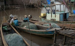 Trắng đêm cùng “ngư tặc”