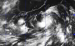 Siêu bão Utor liệu có ảnh hưởng tới Việt Nam?