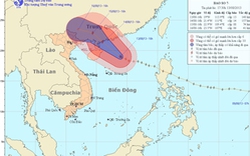  Bão số 7 bất ngờ ngoặt hướng đi, xác suất đổ bộ vào Việt Nam là 50%