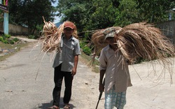 Quảng Nam: Khổ với dự án thủy điện “treo”