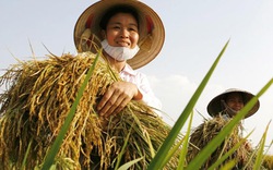 Tự hào nông dân Việt Nam 
