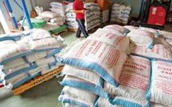 Vay mua tạm trữ thóc gạo: Lãi suất hỗ trợ không quá 10%/năm
