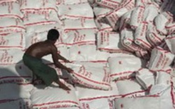 Kỷ nguyên “gạo rẻ” của các nước châu Á đã kết thúc