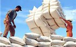 Lo ngại xuất khẩu gạo chậm cuối năm