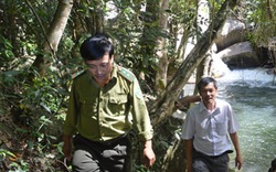Làm thủy điện trong VQG: Chủ rừng chống chọi trong đơn độc 