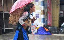 Phiên chợ Mèo Vạc trong mưa