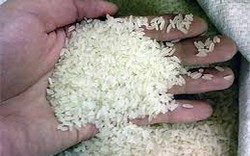 Nâng cao giá trị hạt gạo và thu nhập của nông dân