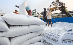 Giá gạo xuất khẩu tháng 8 tăng 5%