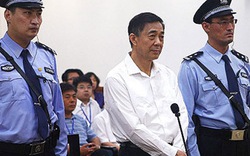 Kết thúc 5 ngày xét xử:  Bạc Hy Lai không nhận tội 