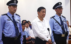 5 phát hiện không nên bỏ qua trong vụ Bạc Hy Lai