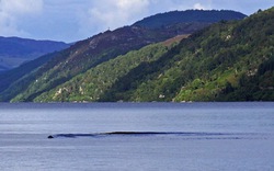 Chụp ảnh, quay được clip về vật thể khổng lồ di chuyển trên hồ Loch Ness