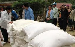 Thanh Hóa: Hỗ trợ gạo cho người trồng rừng