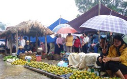 Chợ phiên bản Tày - Đi chợ như đi Hội