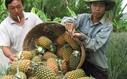 Làm cho nông dân “khỏe”  để xây dựng nông thôn mới