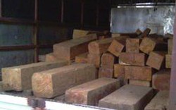 Quảng Nam: Đề nghị khởi tố kẻ vận chuyển gỗ lậu