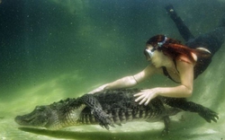 Cô gái yêu nghề... vật lộn với cá sấu