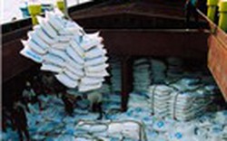 Xuất khẩu gạo vào châu Phi vượt 1 triệu tấn
