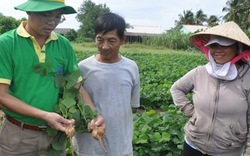 Không chỉ đơn thuần cung ứng sản phẩm...