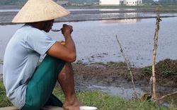 GS Đặng Hùng Võ: “Người dân đồng thuận mới triển khai dự án”