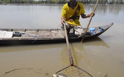 Phạt nặng việc dùng điện khai thác thủy sản