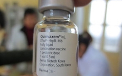 Đồng loạt tiêm lại vắcxin Quinvaxem trong tháng 10