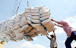 Thêm 31 doanh nghiệp được xuất khẩu gạo