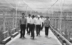 Mục tiêu Xây dựng nông thôn mới của TP.Hồ Chí Minh: 100% số xã về đích năm 2015