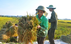 Tăng hợp tác công - tư để tăng thu nhập