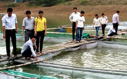 Nuôi cá lồng bè thương phẩm ở Tây Bắc: Giúp người nghèo làm giàu