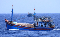 Trung Quốc xác nhận bắt tàu cá cùng 6 ngư dân Việt