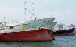 Đại gia sắm 100 tàu ra Hoàng Sa: Đối đầu tàu cá vỏ sắt Trung Quốc là “chuyện nhỏ”