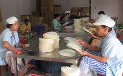 Phát triển kinh tế tập thể ở TP.Hồ Chí Minh: Hỗ trợ mạnh cho HTX nông nghiệp