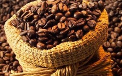 Lâm Đồng: Có thêm nhãn hiệu “Cà phê Arabica Lang Biang”