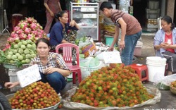 Người tiêu dùng “cạch” trái cây Trung Quốc