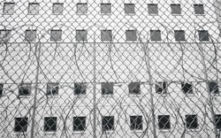 Bi hài: Vào tù thăm con bị mắc kẹt luôn trong phòng biệt giam