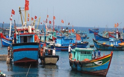 Tàu khai thác hải sản: Được vay tối đa  70% chi phí đi biển