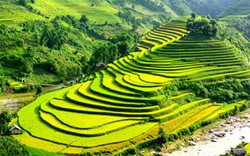 Việt Nam trong danh sách 20 quốc gia đẹp nhất thế giới