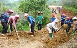 Xây dựng NTM ở xã miền núi, vùng bãi ngang ven biển: Phải giảm được khâu trung gian