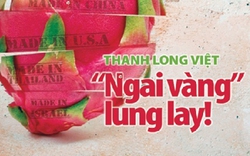 Đón đọc Trang Trại Việt, số tháng 7.2014: Thanh long Việt  “ngai vàng” lung lay