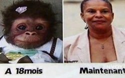 Đăng ảnh so sánh bộ trưởng với khỉ lên Facebook, lĩnh 9 tháng tù