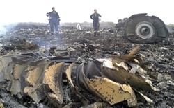 Vụ máy bay MH17 bị bắn hạ: Có nạn nhân là người Hà Lan gốc Việt?