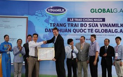 Việt Nam có trang trại bò tiêu chuẩn Global G.A.P. đầu tiên tại Đông Nam Á