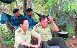 Đà Nẵng: Rộ tin đào được 16kg vàng, dân đổ xô vào rừng