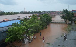 Quảng Ninh: Nước sông Ka Long dâng tràn lên bến cảng