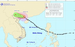 Bão giật cấp 9-10 tấn công Hải Phòng - Quảng Ninh